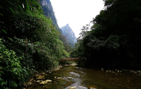 重庆黑山谷