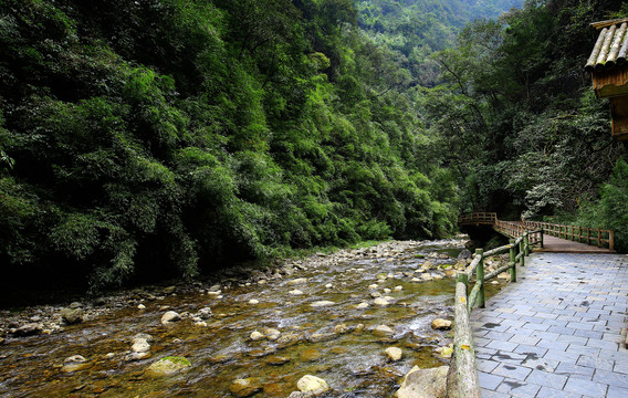 重庆黑山谷