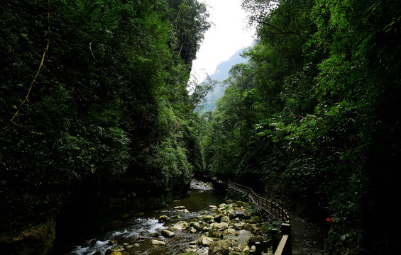 重庆黑山谷