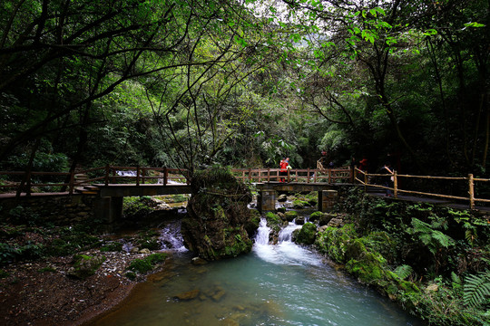 重庆黑山谷