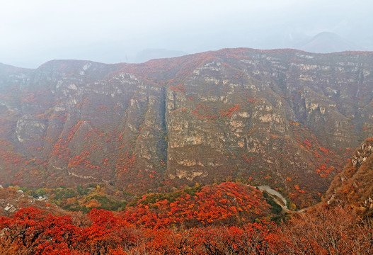 红叶节满山红遍