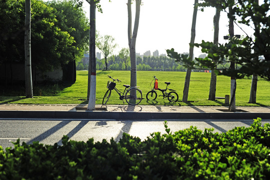 阳光草地自行车