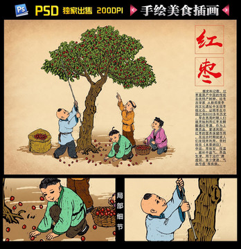 打棗插畫