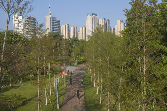 城市健身跑步公园风景