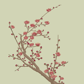 工筆梅花