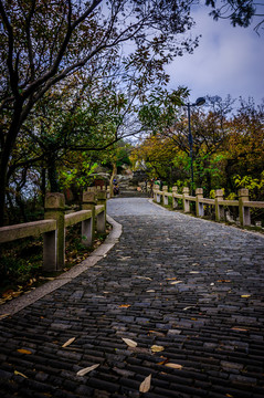 苏州灵岩寺