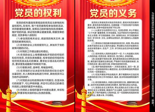 黨的權(quán)利義務(wù)