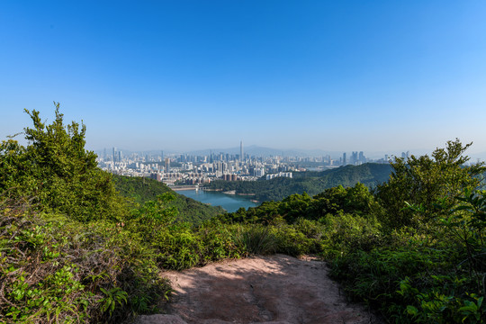 远眺深圳福田中心区