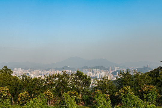 远处灰蒙蒙的梧桐山