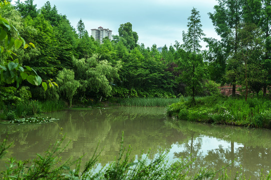 绿色生态遵义市新蒲湿地公园