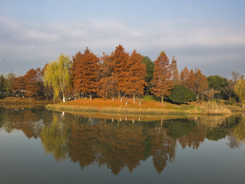 无锡湿地风光