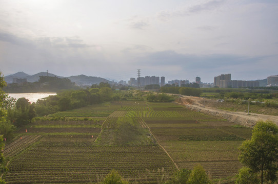 乡村田野俯瞰