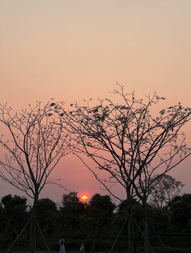 夕阳落日