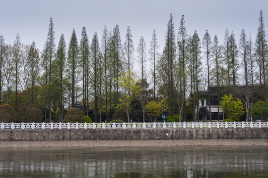 运河黄金水道