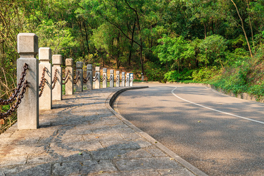 番禺大夫山森林公园山路