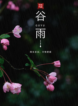 谷雨清明节海报