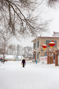 北方农村雪景