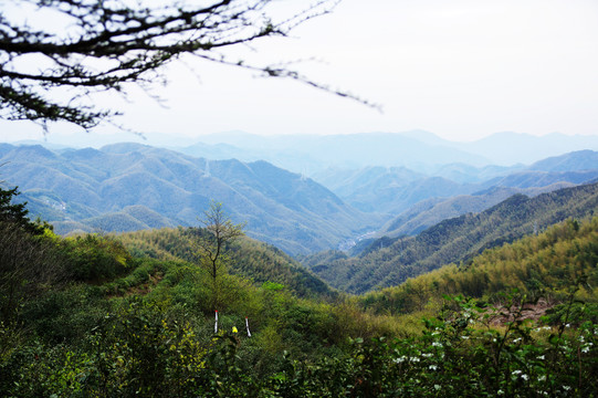 高山