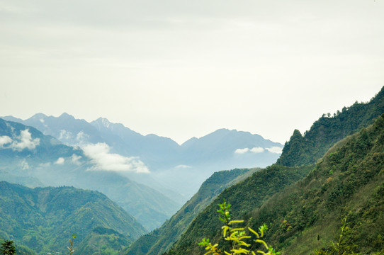 高原风景