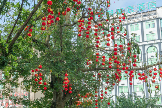 春节的街市