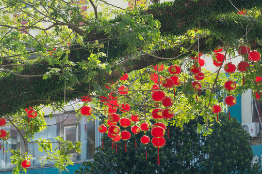 春节的街市