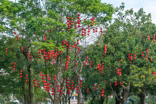 春节年味浓