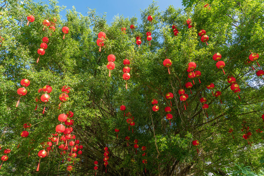 春节年味浓