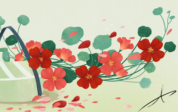 花籃紅花