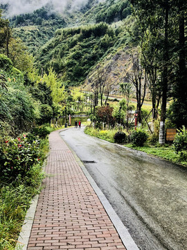 黄龙熊猫基地