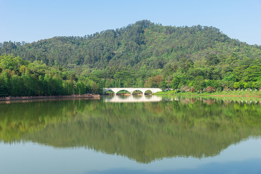 番禺大夫山森林公园山塘风景