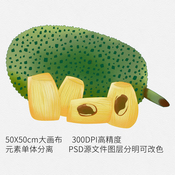 手繪水果波羅蜜