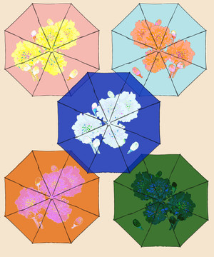裝飾花樣圖案晴雨傘花色