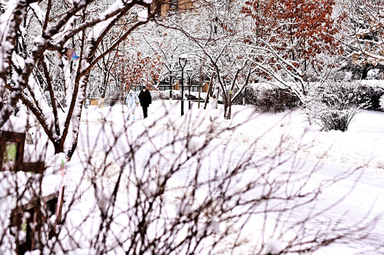 春雪
