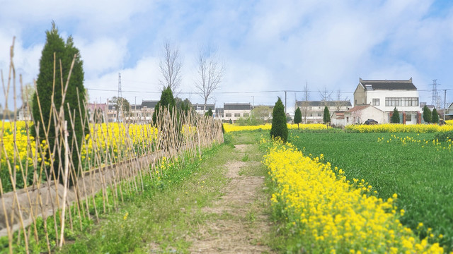 乡村小道