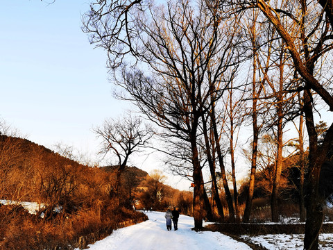 冰天雪地