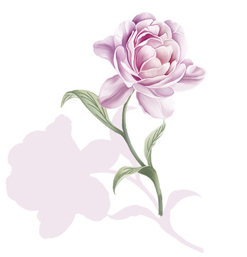 粉花