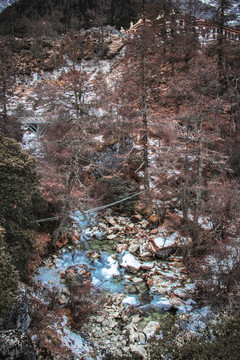 川西稻城亞丁景色美景高山