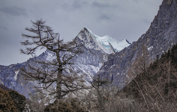 川西稻城亞丁景色美景高山