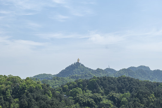 重庆大金鹰