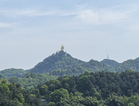 南山大金鹰