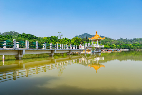 番禺大夫山森林公园聚秀湖风景