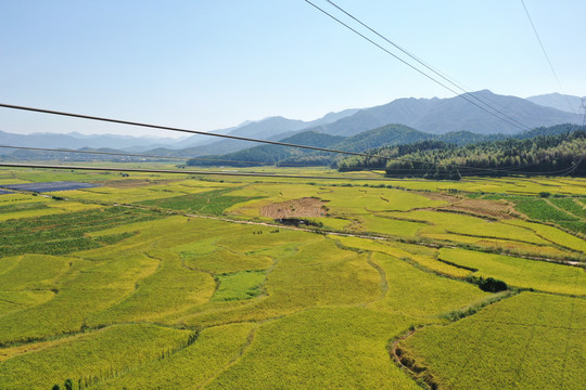 田野与崇山森林