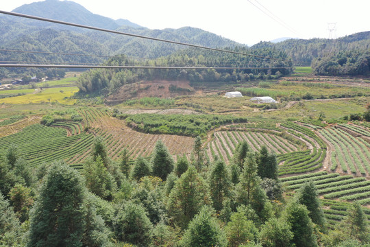 田与山