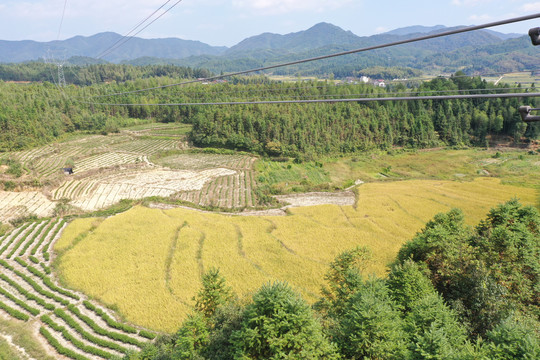 俯视待开垦的田地