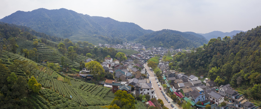 杭州西湖龙井茶产地梅家坞