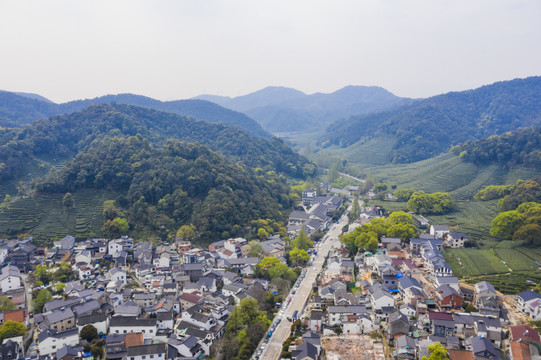 杭州西湖龙井茶产地梅家坞