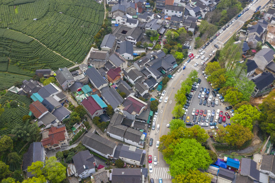 杭州西湖龙井茶产地梅家坞