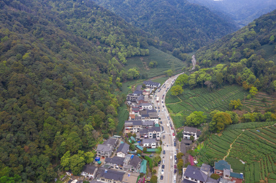 杭州西湖龙井茶产地梅家坞