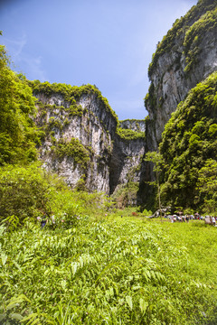 武隆天坑