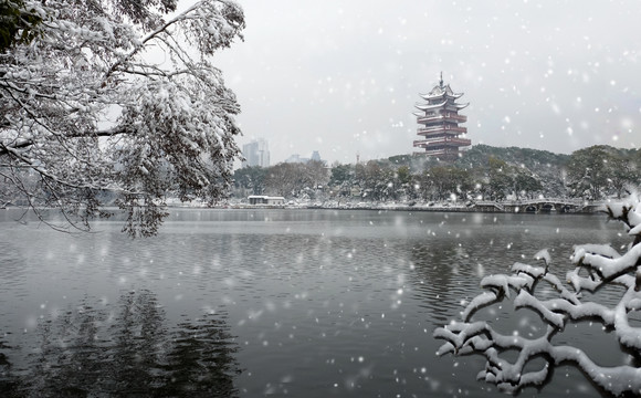 株洲市神农公园雪景